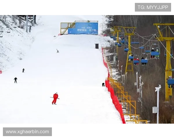 四人滑雪车世界杯（4人雪车比赛事故）sports